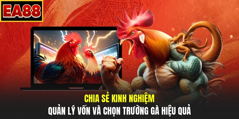 Chia sẻ kinh nghiệm quản lý vốn và chọn trường gà hiệu quả