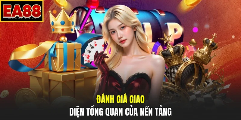 Đánh giá giao diện tổng quan của nền tảng